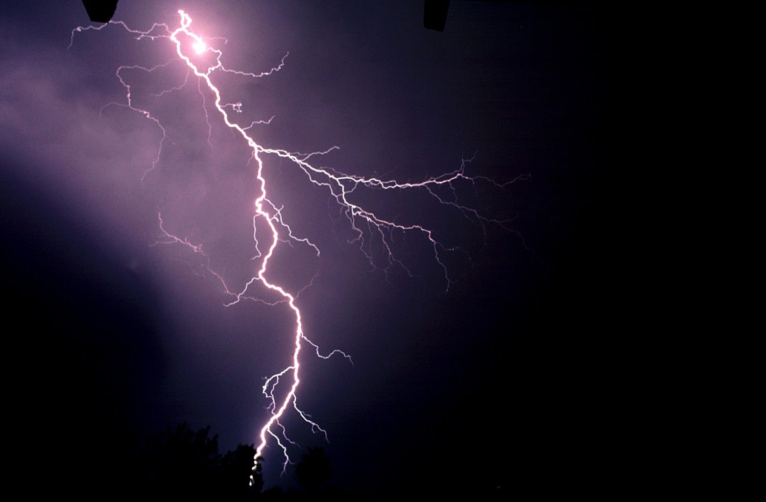SL-surviving-summer-lightning.jpg